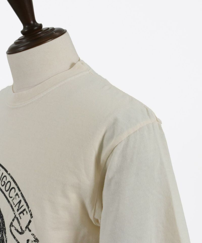 【Golden 】Tシャツ ヴィンテージ調 関税込み CAMBIO(カンビオ)】 ヴィンテージ風Tシャツ（Tiger）(2401080MCB