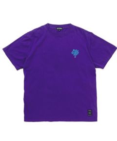 PPL