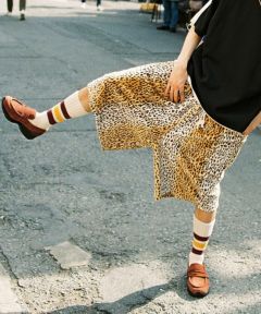 leopard