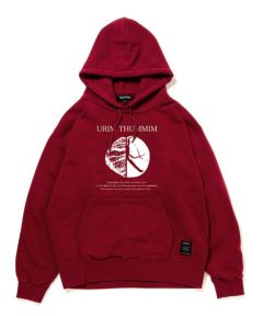 BGD