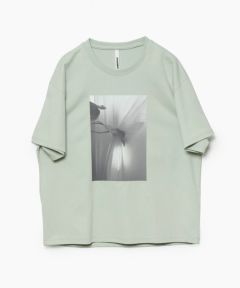 351 L.GREEN