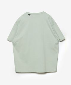351 L.GREEN