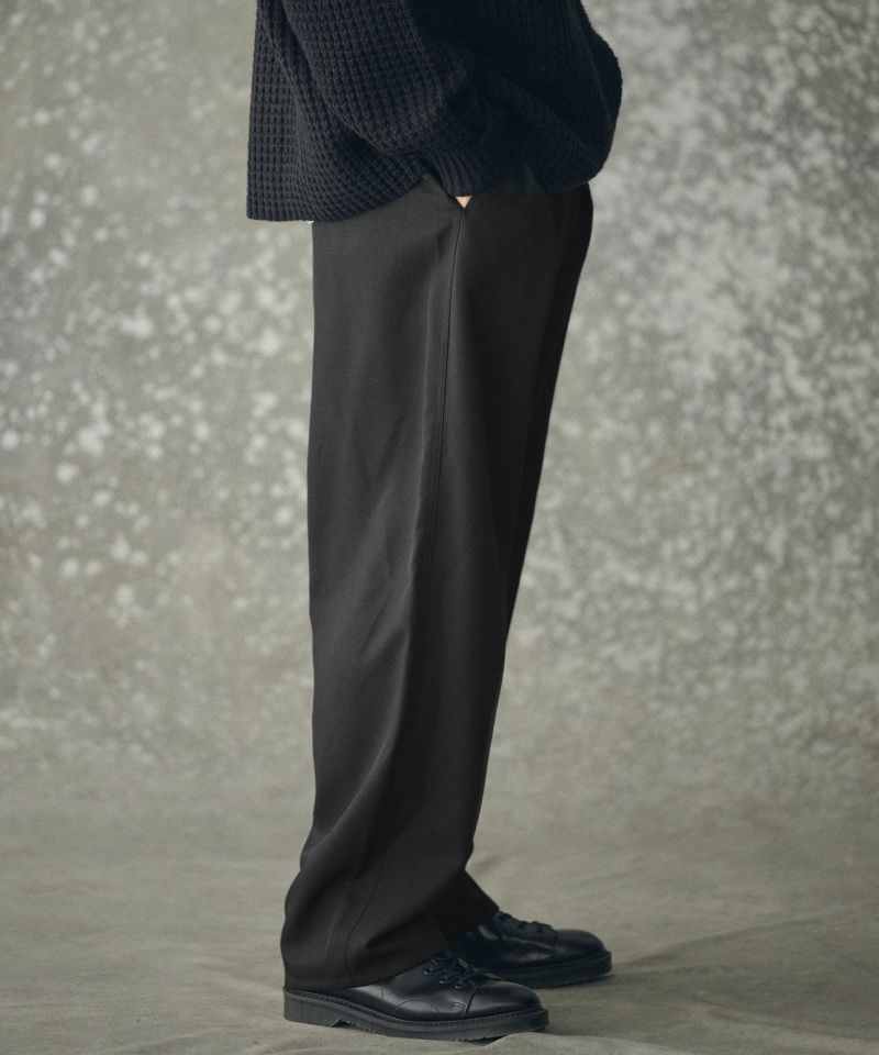 THEOREM(セオレム)】Wool-like Sharky Worker Pants ワークパンツ(TRM